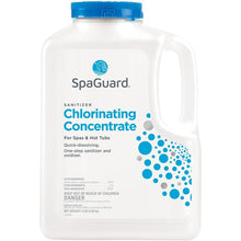 Load image into Gallery viewer, Spaguard Chlorinating Concentrate
